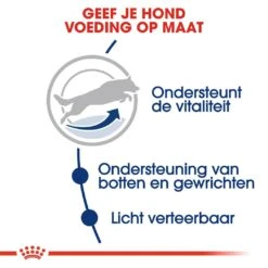 Royal Canin Hondenvoer Maxi Adult 5+ 4 Kg 6 Royal Canin Hondenvoer Maxi Adult 5+ 4 Kg -Beste Dierenwinkel royal canin maxi adult 5plus volwassen hond grote hondenrassen vanaf 5 jaar hero usp