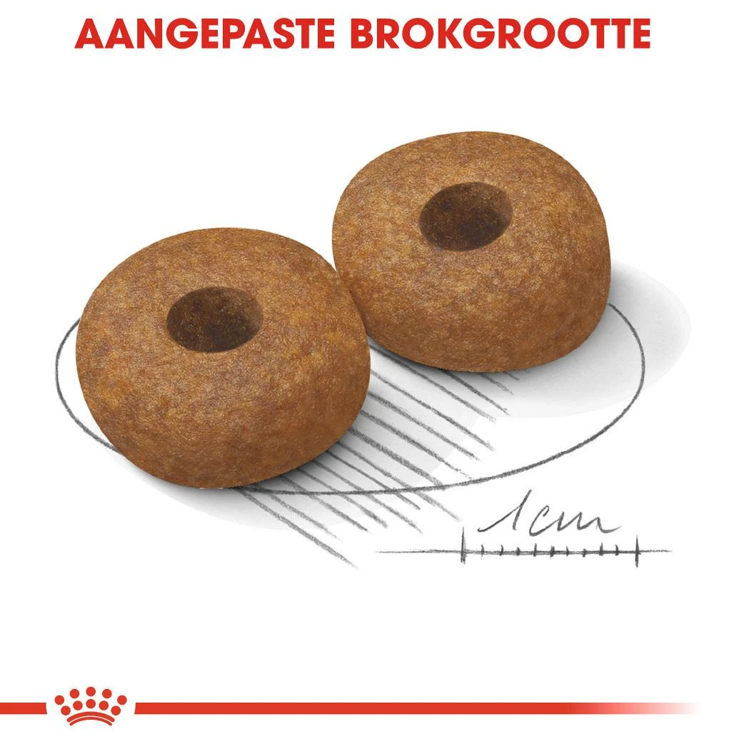 Royal Canin Hondenvoer Medium Ageing 10+ 15 Kg 2 Royal Canin Hondenvoer Medium Ageing 10+ 15 Kg - Afbeelding 2