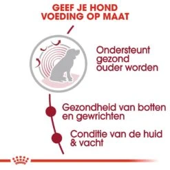 Royal Canin Hondenvoer Medium Ageing 10+ 15 Kg 6 Royal Canin Hondenvoer Medium Ageing 10+ 15 Kg -Beste Dierenwinkel royal canin medium ageing 10plus senior hond oudere hond vanaf 10 jaar hero usp