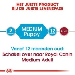 Royal Canin Hondenvoer Medium Puppy 4 Kg -Beste Dierenwinkel royal canin medium puppy pup hond middelgrote hondenrassen hero image 8