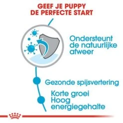 Royal Canin Hondenvoer Medium Puppy 4 Kg -Beste Dierenwinkel royal canin medium puppy pup hond middelgrote hondenrassen hero usp