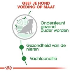 Royal Canin Hondenvoer Mini Ageing 12+ 12 X 85 Gr 7 Royal Canin Hondenvoer Mini Ageing 12+ 12 X 85 Gr -Beste Dierenwinkel royal canin mini ageing 12plus natvoer senior hond oudere hond vanaf 12 jaar hero usp