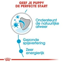 Royal Canin Hondenvoer Mini Puppy 12 X 85 Gr 7 Royal Canin Hondenvoer Mini Puppy 12 X 85 Gr -Beste Dierenwinkel royal canin mini puppy natvoer hond kleine hondenrassen hero usp