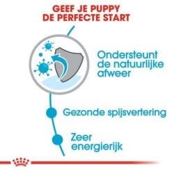 Royal Canin Hondenvoer Mini Puppy 8 Kg -Beste Dierenwinkel royal canin mini puppy pup hond kleine hondenrassen hero usp