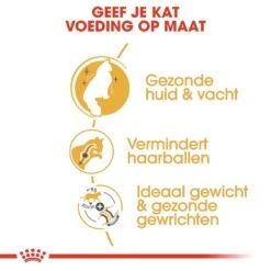 Royal Canin Kattenvoer Norwegian Forest Cat Adult 2 Kg 5 Royal Canin Kattenvoer Norwegian Forest Cat Adult 2 Kg -Beste Dierenwinkel royal canin norwegian forest cat adult volwassen kat noorse boskat hero usp