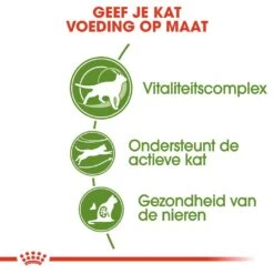 Royal Canin Kattenvoer Outdoor 7+ 4 Kg -Beste Dierenwinkel royal canin outdoor 7plus volwassen kat buitenkatten vanaf 7 jaar hero usp 1