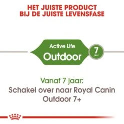 Royal Canin Kattenvoer Outdoor 4 Kg 7 Royal Canin Kattenvoer Outdoor 4 Kg -Beste Dierenwinkel royal canin outdoor volwassen kat buitenkatten hero image 9