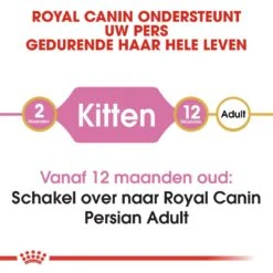 Royal Canin Kattenvoer Persian Kitten 4 Kg -Beste Dierenwinkel royal canin persian kitten kitten kat pers hero image 8 2