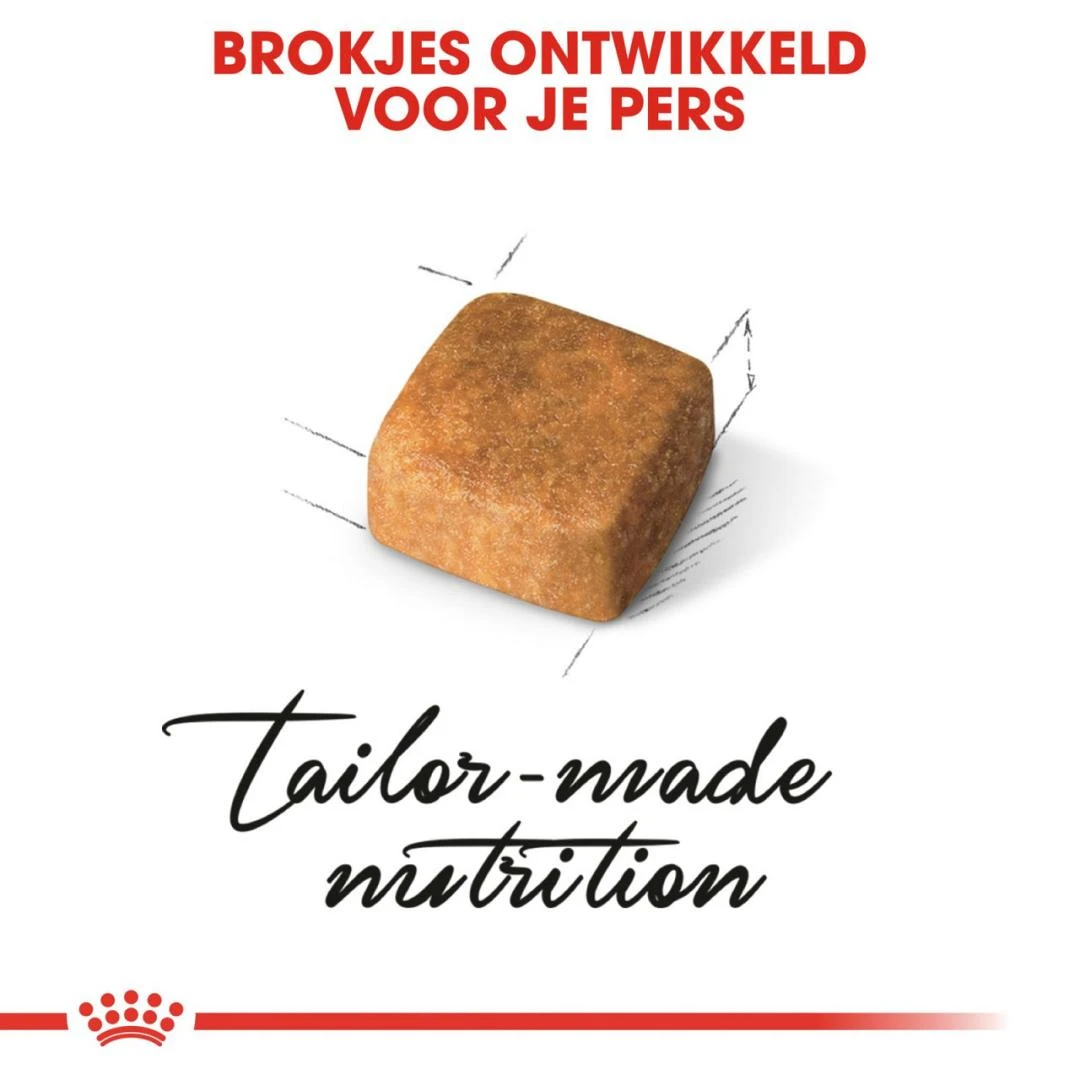 Royal Canin Kattenvoer Persian Kitten 10 Kg 2 Royal Canin Kattenvoer Persian Kitten 10 Kg - Afbeelding 2