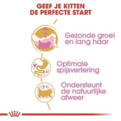 Royal Canin Kattenvoer Persian Kitten 4 Kg -Beste Dierenwinkel royal canin persian kitten kitten kat pers hero usp 2