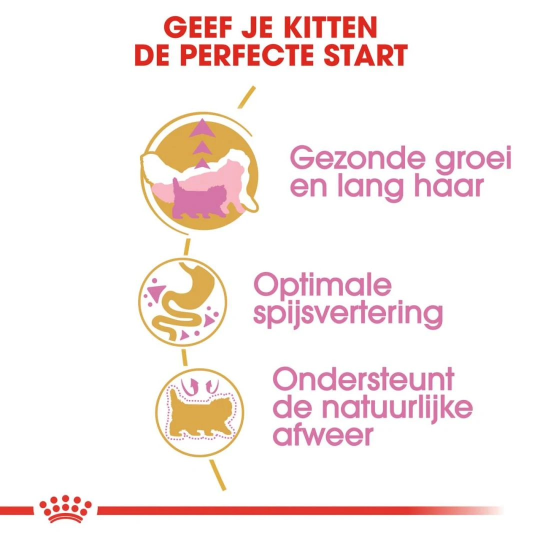 Royal Canin Kattenvoer Persian Kitten 10 Kg 3 Royal Canin Kattenvoer Persian Kitten 10 Kg - Afbeelding 3