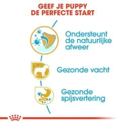 Royal Canin Hondenvoer Poodle Puppy 3 Kg 6 Royal Canin Hondenvoer Poodle Puppy 3 Kg -Beste Dierenwinkel royal canin poodle junior pup hond poedel hero usp