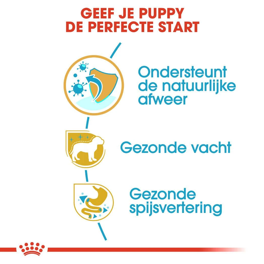 Royal Canin Hondenvoer Poodle Puppy 3 Kg 3 Royal Canin Hondenvoer Poodle Puppy 3 Kg - Afbeelding 3