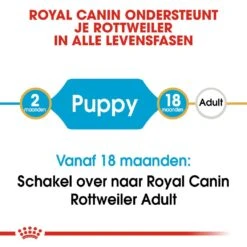 Royal Canin Hondenvoer Rottweiler Puppy 12 Kg 7 Royal Canin Hondenvoer Rottweiler Puppy 12 Kg -Beste Dierenwinkel royal canin rottweiler junior pup hond rottweiler hero image 9