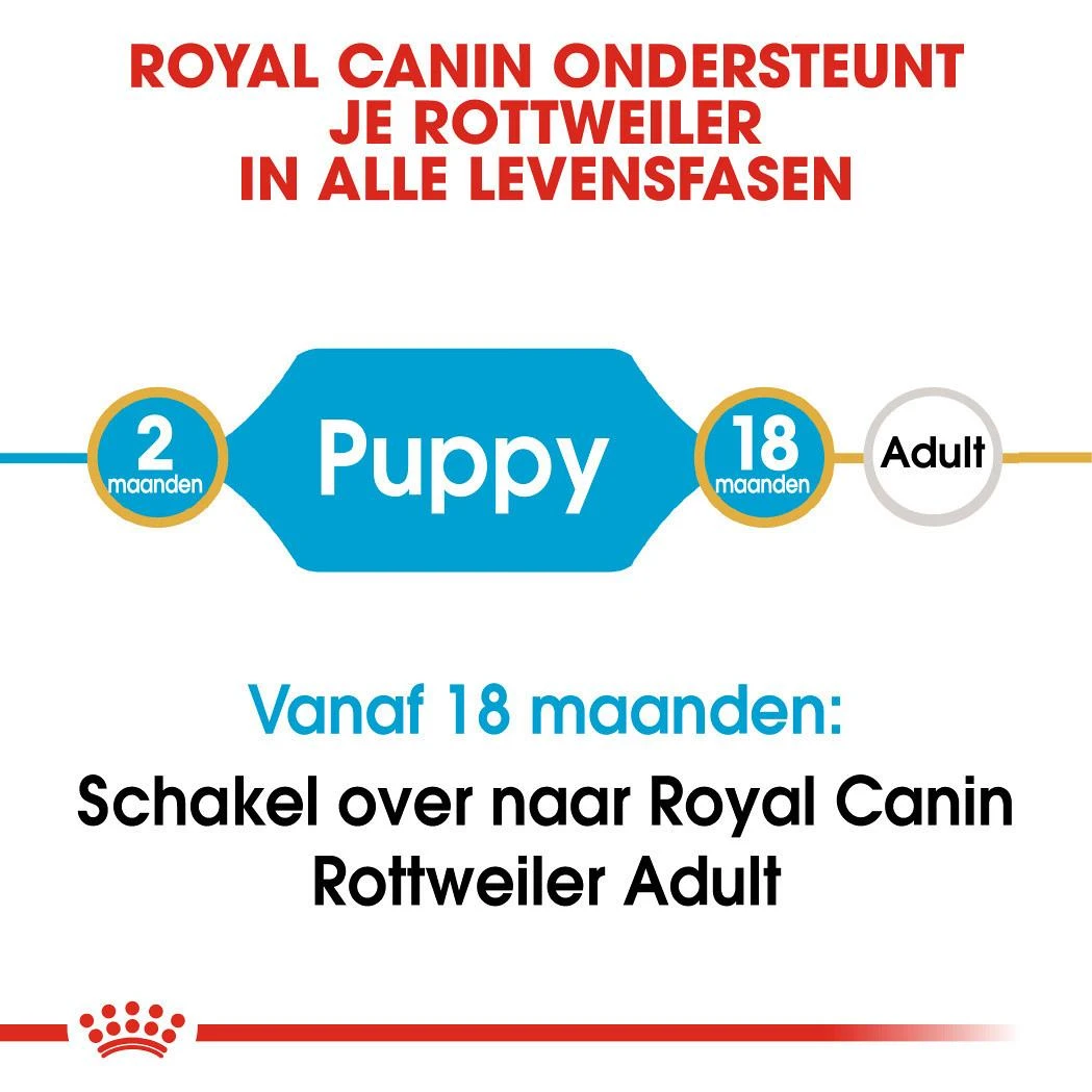 Royal Canin Hondenvoer Rottweiler Puppy 12 Kg 4 Royal Canin Hondenvoer Rottweiler Puppy 12 Kg - Afbeelding 4