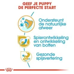 Royal Canin Hondenvoer Rottweiler Puppy 12 Kg 6 Royal Canin Hondenvoer Rottweiler Puppy 12 Kg -Beste Dierenwinkel royal canin rottweiler junior pup hond rottweiler hero usp