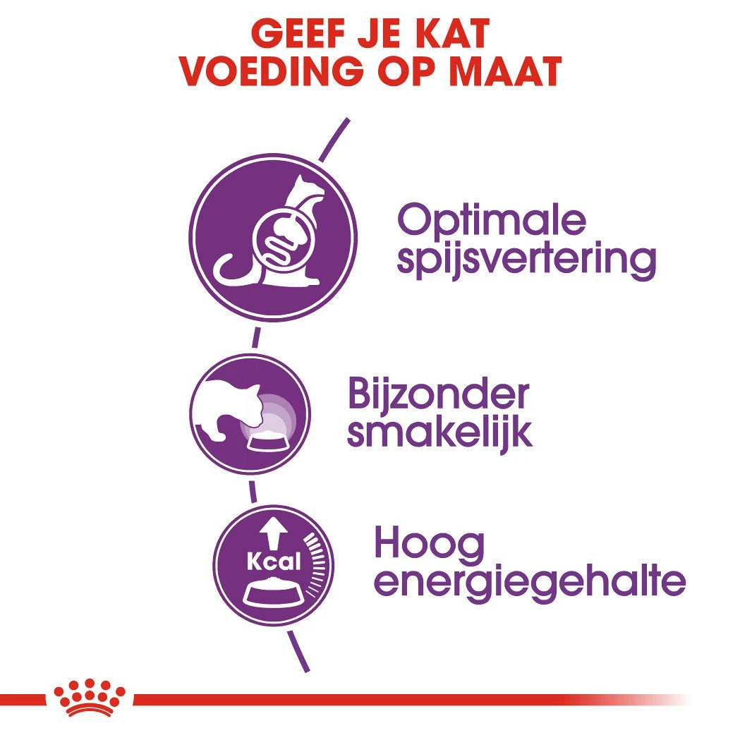 Royal Canin Kattenvoer Sensible 33 4 Kg 3 Royal Canin Kattenvoer Sensible 33 4 Kg - Afbeelding 3