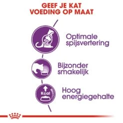 Royal Canin Kattenvoer Sensible 33 2 Kg 5 Royal Canin Kattenvoer Sensible 33 2 Kg -Beste Dierenwinkel royal canin sensible 33 volwassen kat ondersteuning spijsvertering hero usp