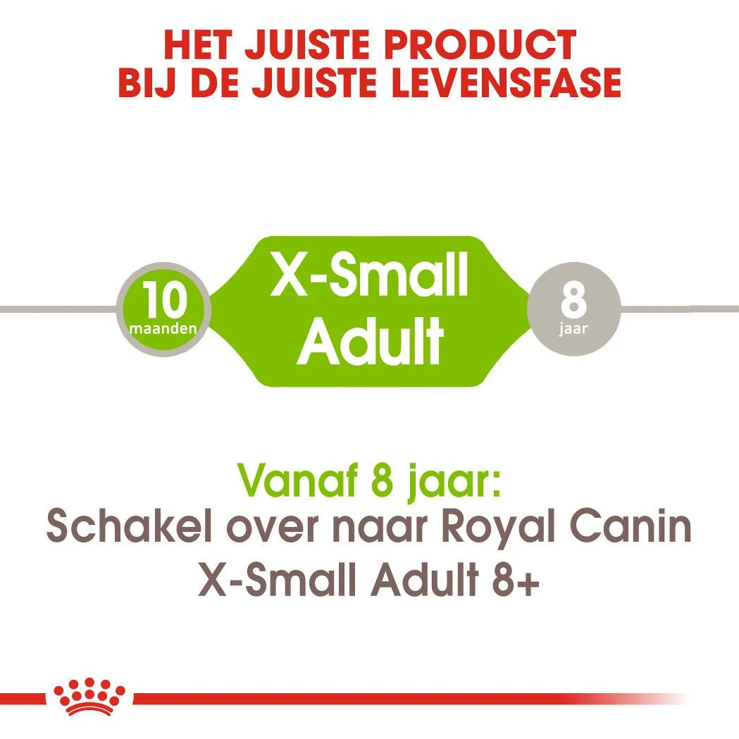 Royal Canin Hondenvoer X-Small Adult 3 Kg 4 Royal Canin Hondenvoer X-Small Adult 3 Kg - Afbeelding 4