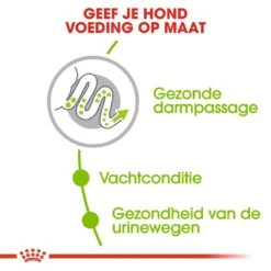 Royal Canin Hondenvoer X-Small Adult 3 Kg 6 Royal Canin Hondenvoer X-Small Adult 3 Kg -Beste Dierenwinkel royal canin x small adult volwassen hond zeer kleine hondenrassen hero usp