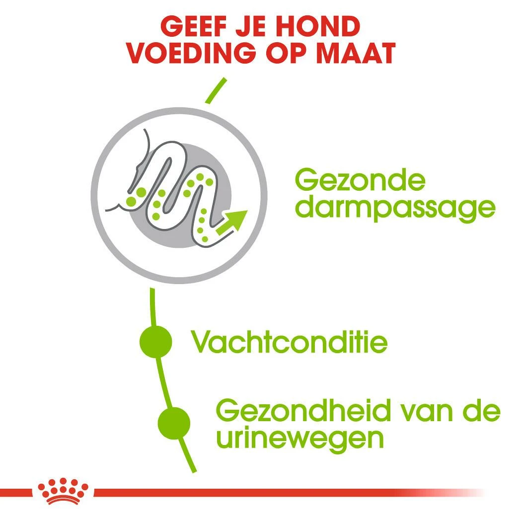 Royal Canin Hondenvoer X-Small Adult 3 Kg 3 Royal Canin Hondenvoer X-Small Adult 3 Kg - Afbeelding 3